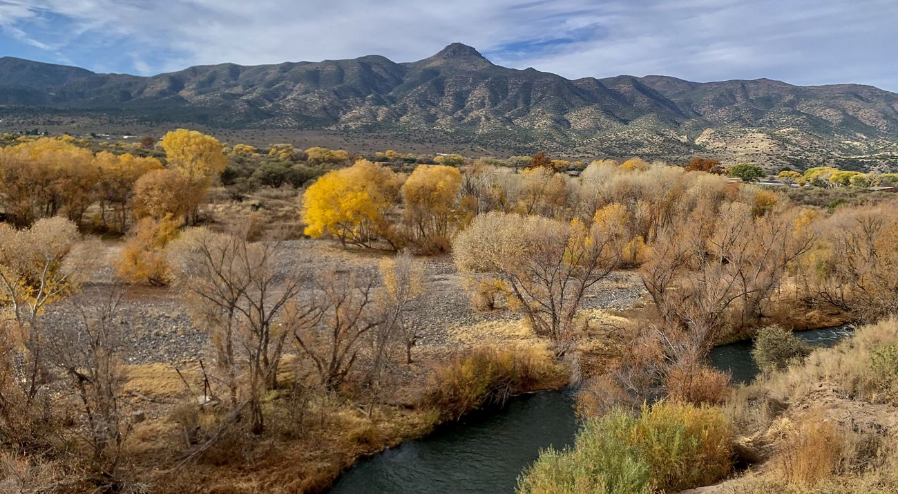Landscape of a flowing river with bare and orange trees lining it and a mountain in the distance.