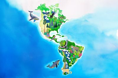 Ilustración que representa el mapa de América, de norte a sur, con detalles representativos de geografía, flora y fauna. 