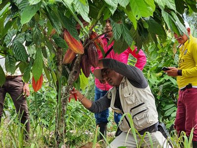 Involucrar a los beneficiarios en el proceso de monitoreo ayuda a la adopción de las herramientas y a construir una visión de territorio.