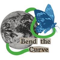 Bend the curve icon
