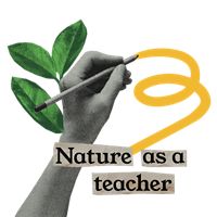 Nature as a teacher icon