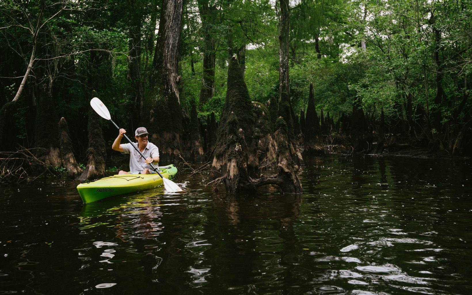 A kayaker navigates through the waters of the Black River surrounded by giant cypress trees.