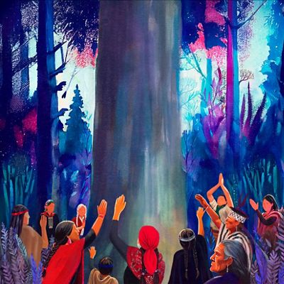 Ilustración que muestra en tonos azules y violetas un bosque de alerces, con el alerce "gran abuelo" al centro, y miembros de comunidades indígenas presentando sus respetos al árbol milenario. 
