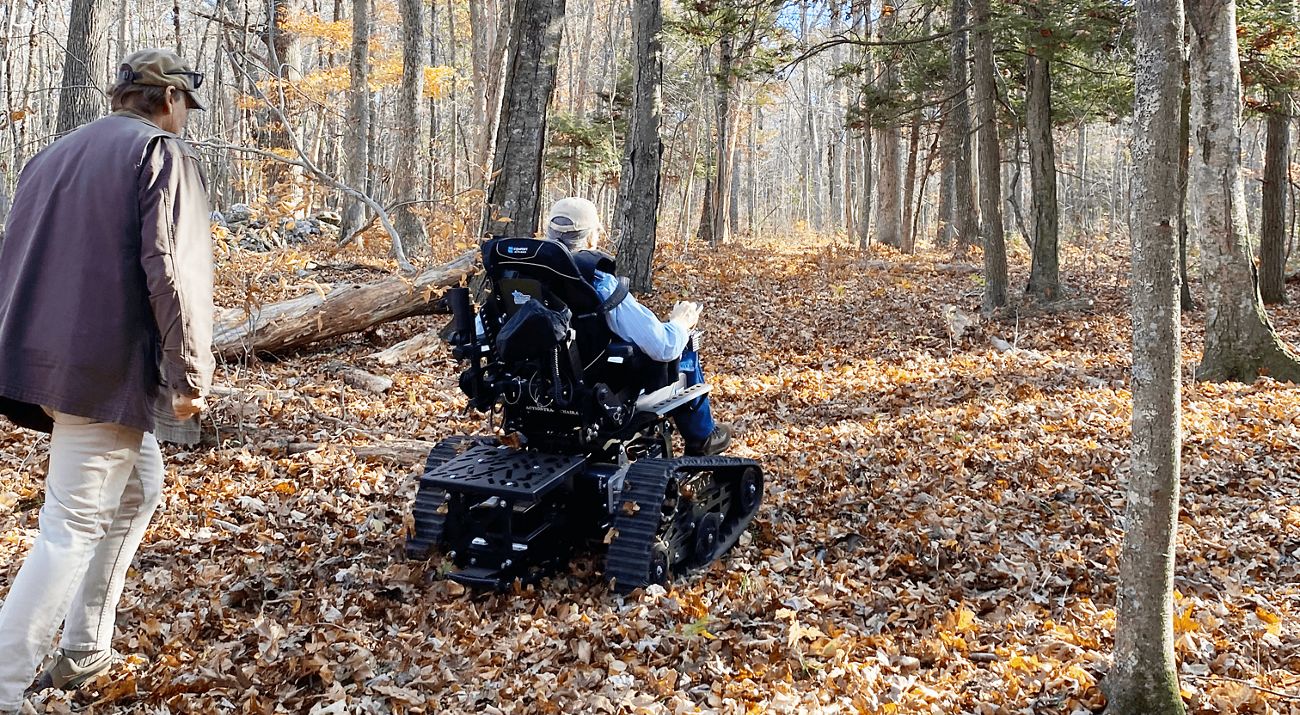 Un sendero frondoso bordea un paisaje boscoso.