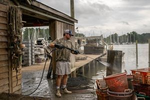 A man standing on a dock holds a hose, which is spraying an orange plastic basket full of oysters.
