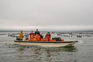 Five people wearing orange waders stand on a boat, which is in front of several rows of floating oyster cages.