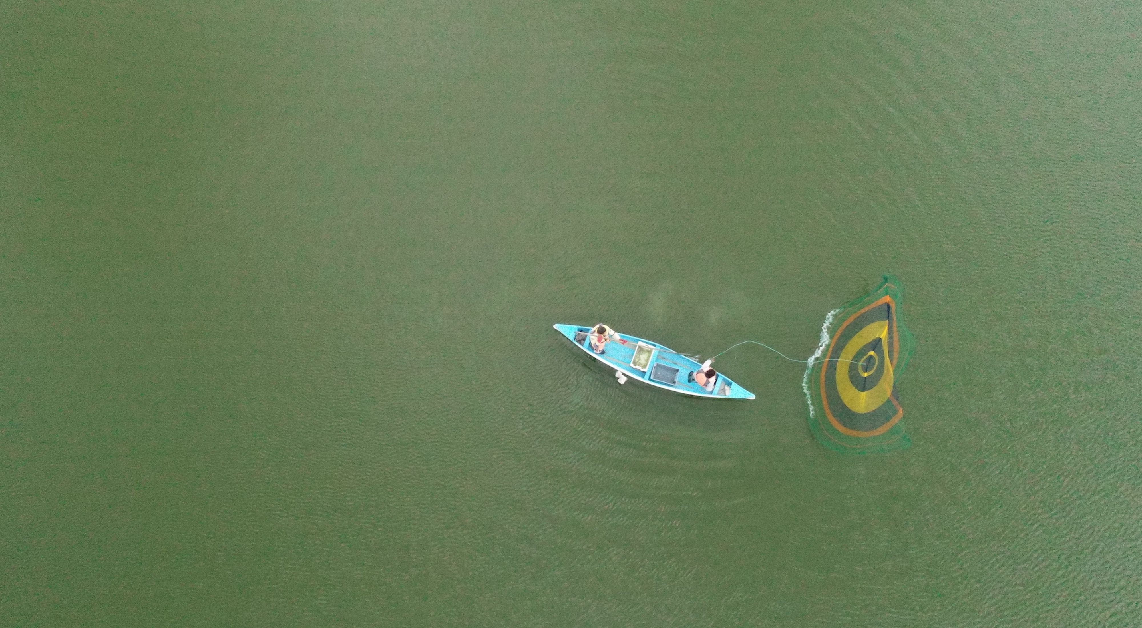 An aerial view of two people on a blue boat, using a net to harvest shrimp.