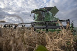 Large piece of farm machinery harvesting a soybean field.