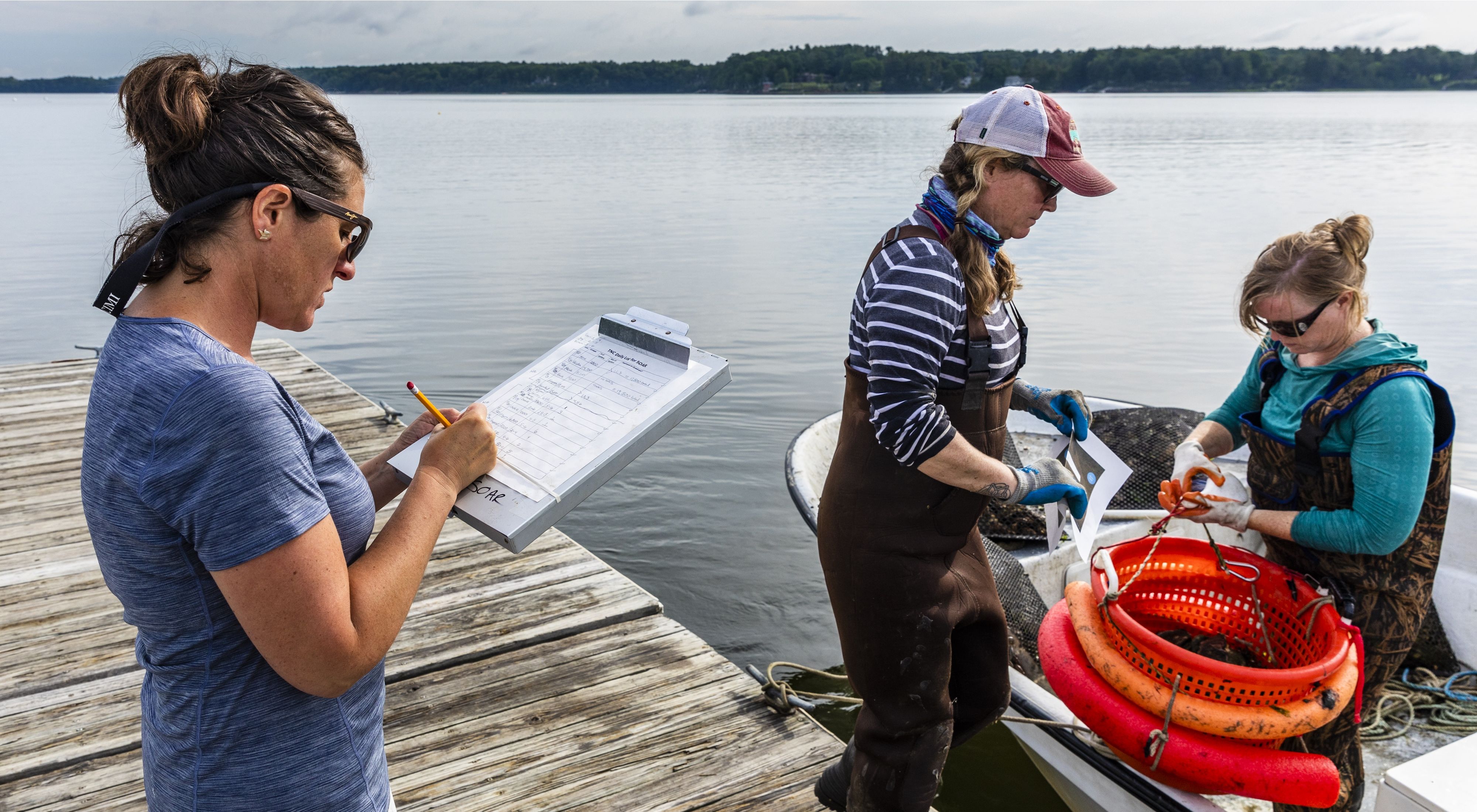 A woman stands on a dock, writing on a clip board, while two farmers load oysters onto a boat.