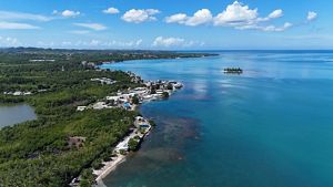 A bird's eye view of a coastline next to blue water.