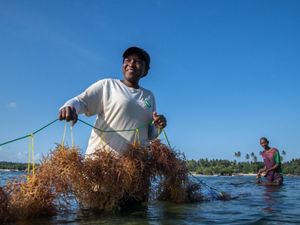 TNC seaweed trainer Mondy Muhando near Pemba Island.