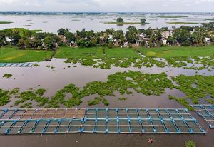 Blue pens float in a body of water. Behind it is a small village full of tropical trees and plants.