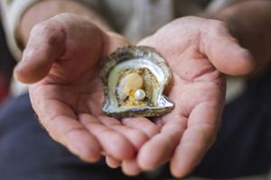 A close up of a person's hands holding an open oyster with a pearl inside.