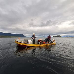 Researchers collect data on pilot farm in Nueva Ventura, Chile.