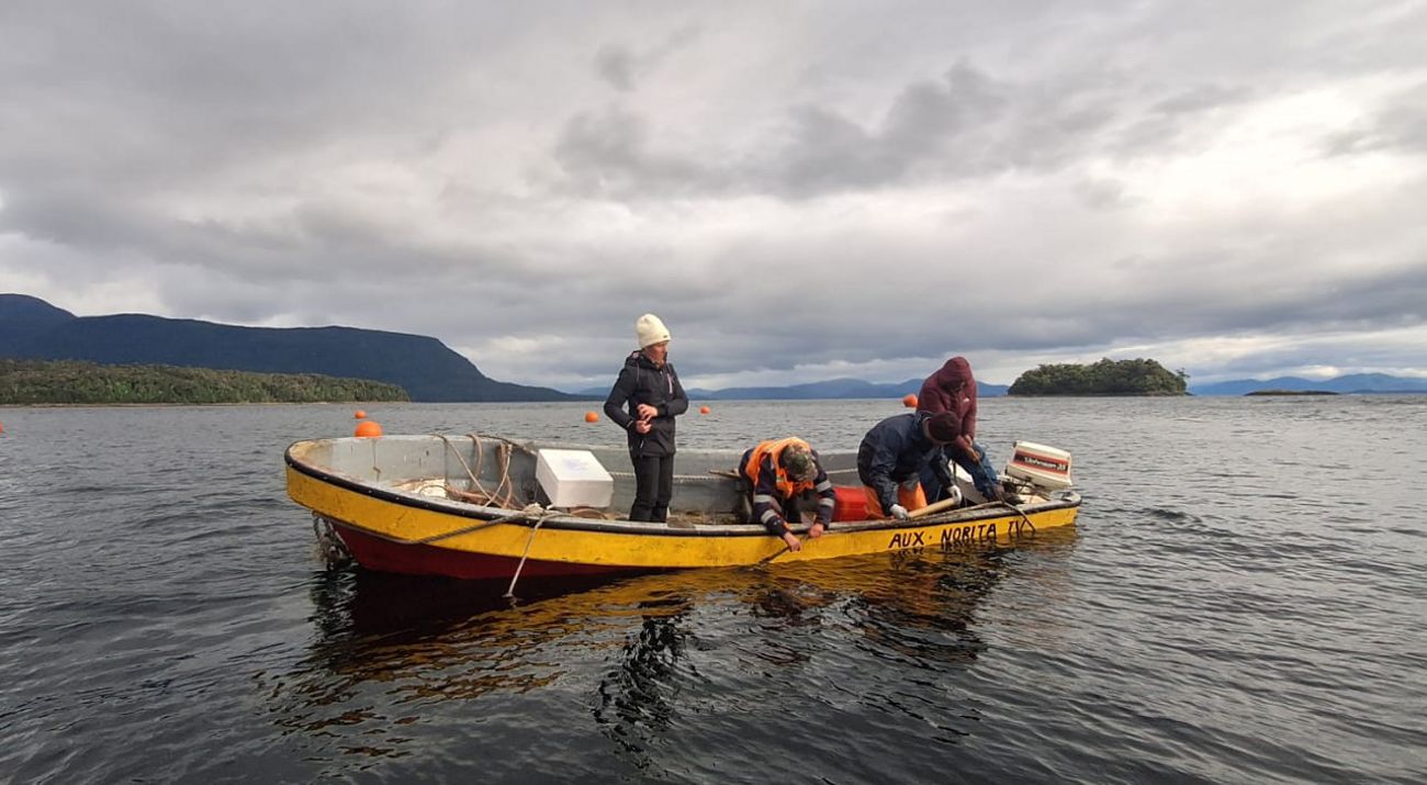 Four researchers stand in a boat in the middle of a body of water.