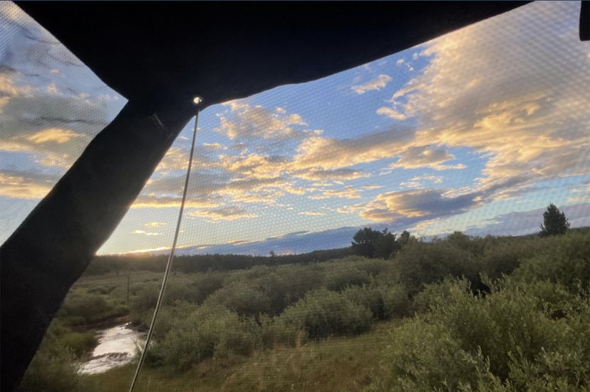 Looking out through the open window of a tent, the clouds overhead are painted golden by the rising sun.