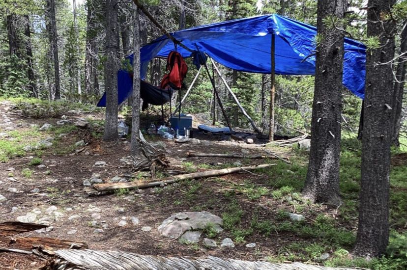 A blue tarp is tied between a group of trees to create a simple campsite in the woods.