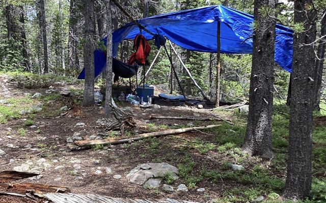 A blue tarp is tied between a group of trees to create a simple campsite in the woods.
