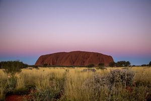 Uluru (the amazing giant sandstone monolith) set against the pinks and purples of the sunset sky.