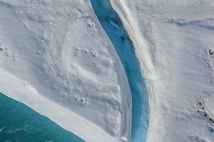 The iceshelf extends for hundreds of kilometres along the high arctic landscape. The jagged perfectly sculptured edges show the sheer magnitude of ice protruding into the ocean.