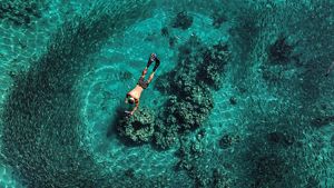 A boy snorkelling surrounded by a school of fish.