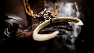 A close up of human hand holding a ceremonial artefact from the Solomon Islands.