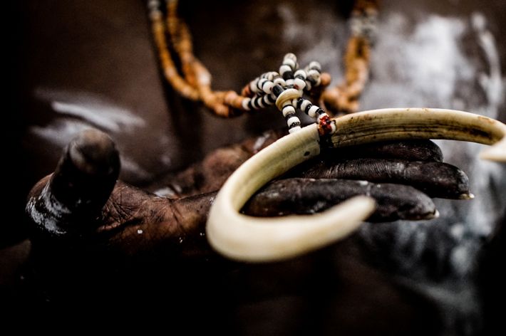 2025 Oceania Photo Contest Winners | TNC