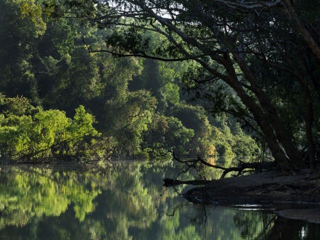 Wenlock River reflections
