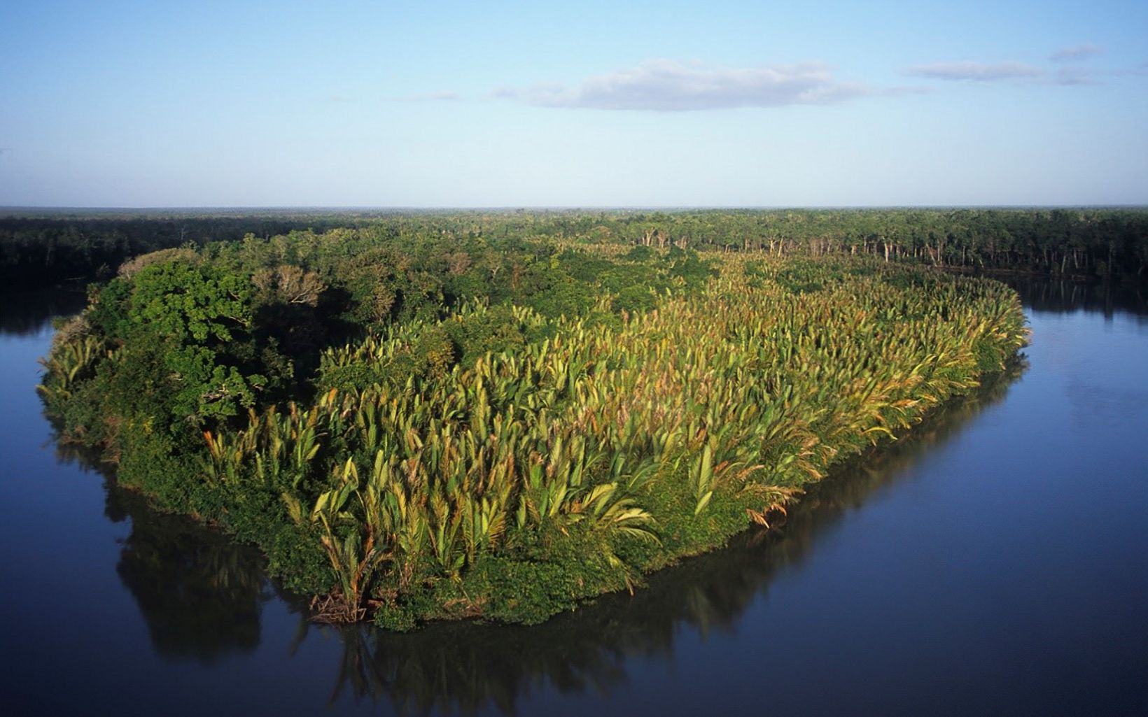 Floating Islands Nypa Palms line the ‘Floating Islands’ and river bank © Kerry Trapnell