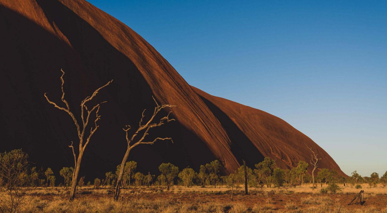 A large sandstone wall serves as a backdrop for a scattering of trees and sandy soils.