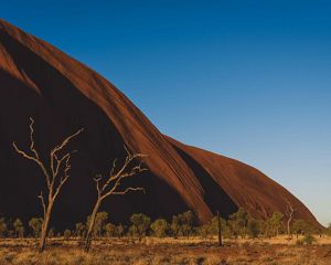 A large sandstone wall serves as a backdrop for a scattering of trees and sandy soils.