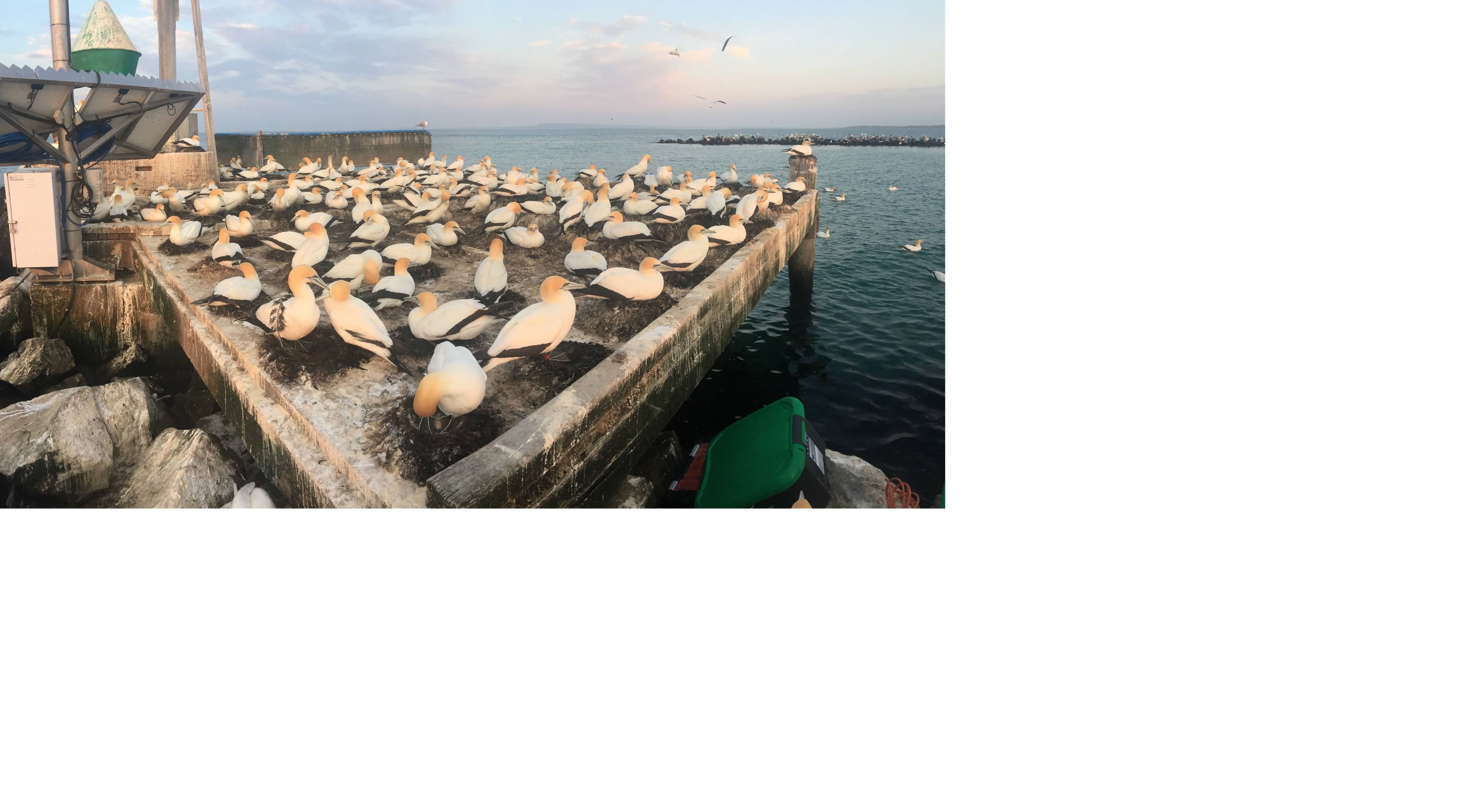 Reef Cam Above Water Live Feed