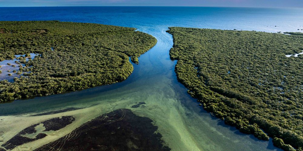 An aerial view of the wetlands and the water way the leads out to the ocean