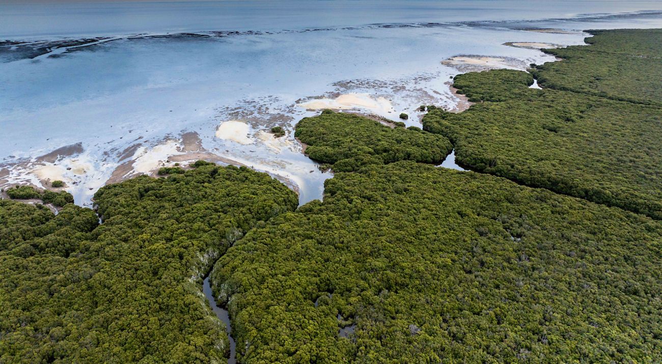 Aerial drone image of the Adelaide Coastal Wetlands showing the meeting of the wetlands and the ocean