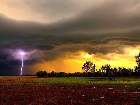 the nature conservancy australia
