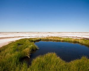 Arabana Mound Spring, South Australia