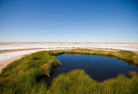 Arabana Mound Spring, South Australia