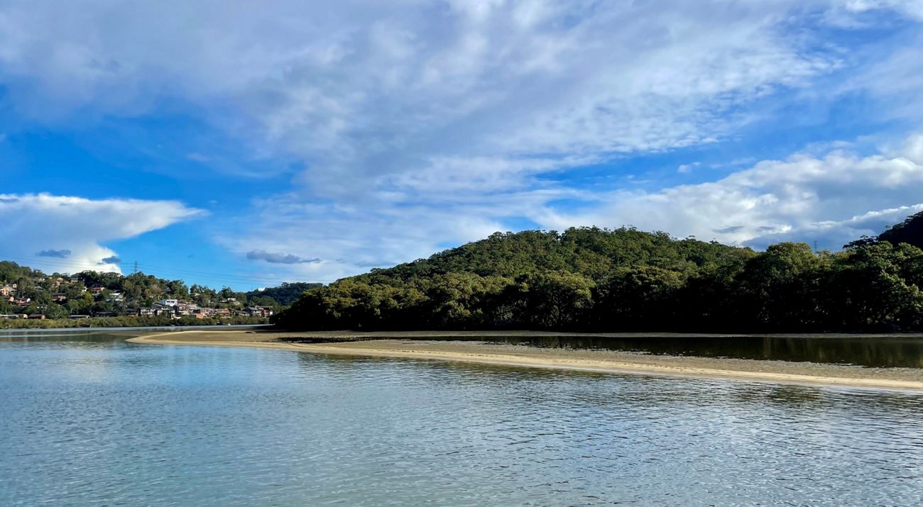 A body of water with a sand embankment and green trees