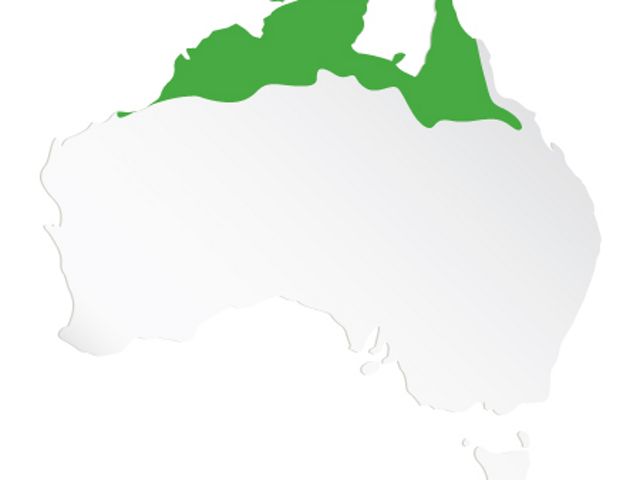 TNC's work supporting Indigenous partners across Northern Australia