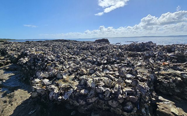 Great Sandy Strait