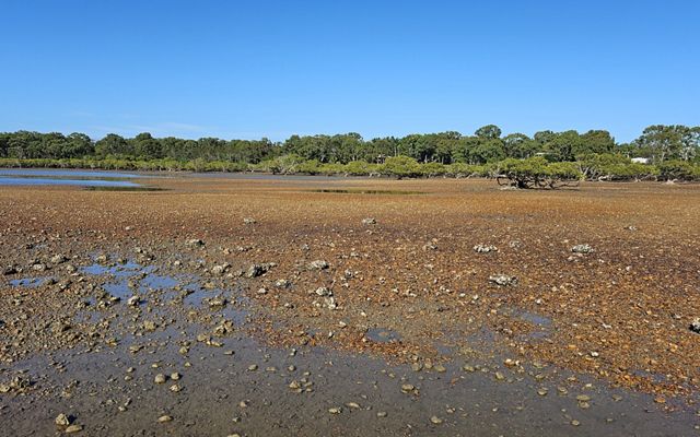 Great Sandy Strait