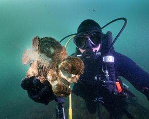 The Nature Conservancy's Simon Branigan shows off some Australian Flat Oysters growing at Margaret's Reef, Port Phillip Bay, Victoria
