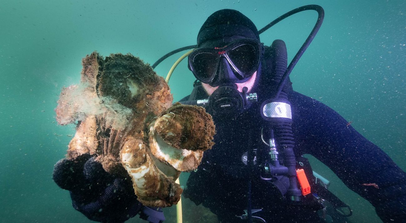 TNC diver inspecting restored reef