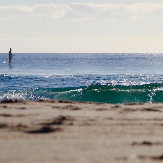 Paddle boarder at Adelaide beach by Anita Nedosyko / TNC