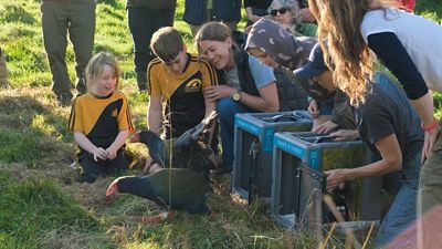Children and adults observing the release of the takahē.