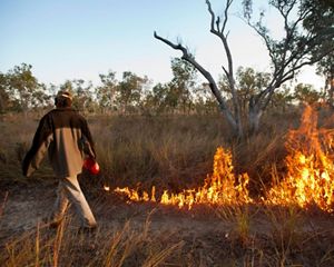 a man working a controlled burn on a grassland