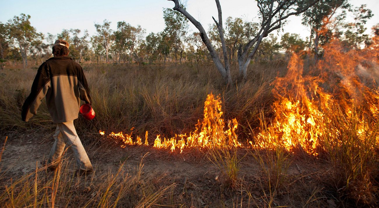 A ranger holding a petrol walks across a burning grassland.