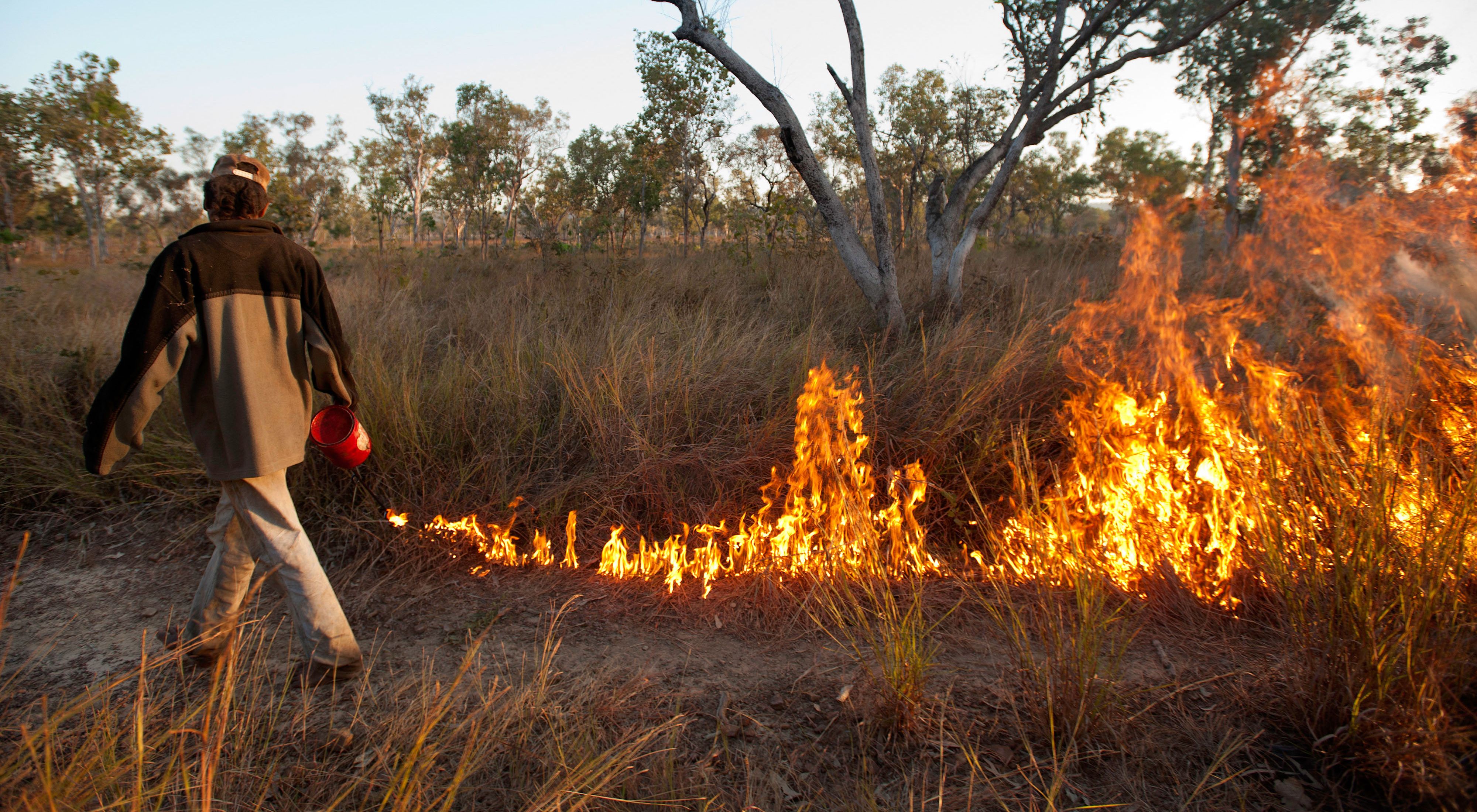 Man holding a petrol can walks across a burning grassland.