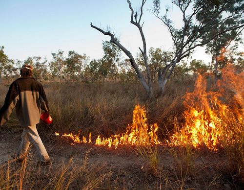 A man tending a controlled burn on a grassy area