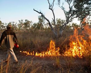 A man tending a controlled burn on a grassy area